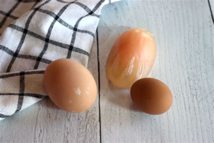 Are deformed eggs safe to eat