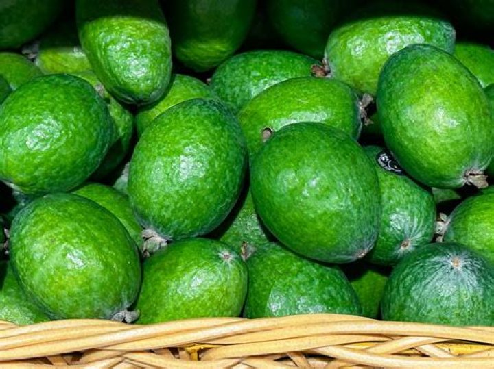 Are Feijoas native to New Zealand