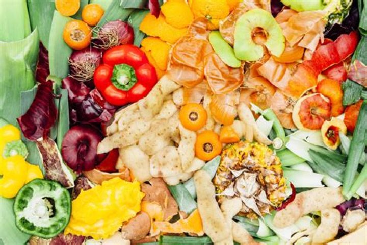Are fruit peels biodegradable