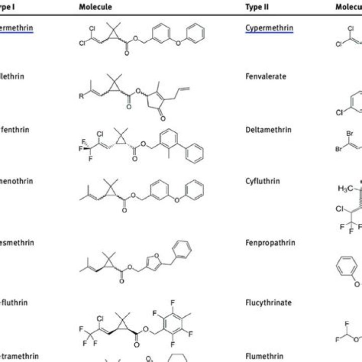 Are pyrethroids neonicotinoids