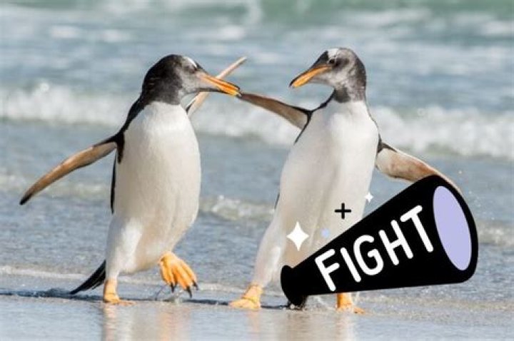 Are there aggressive penguins