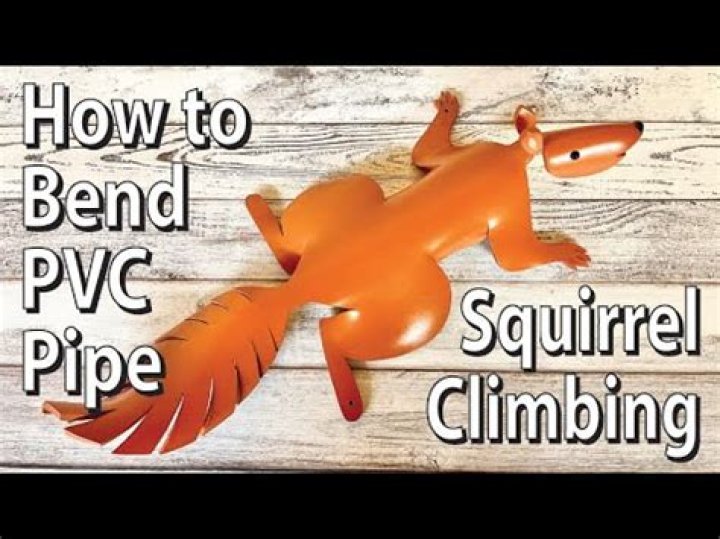 Can a squirrel climb PVC pipe