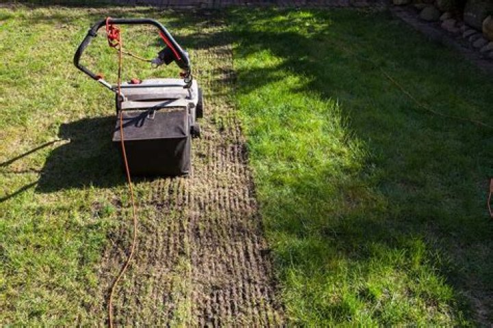 Can I Dethatch with lawn mower