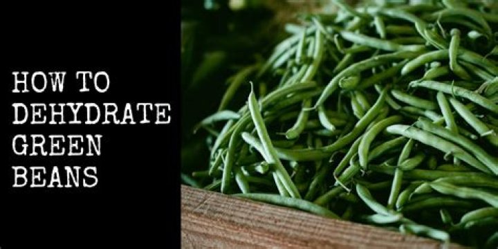 Can you dehydrate broad beans