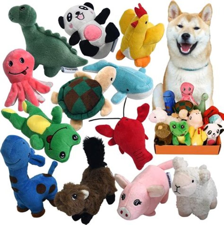 Can you dry dog toys in the dryer