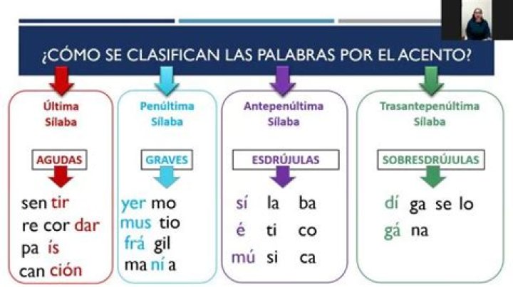 ¿Cómo se le llaman a las palabras
