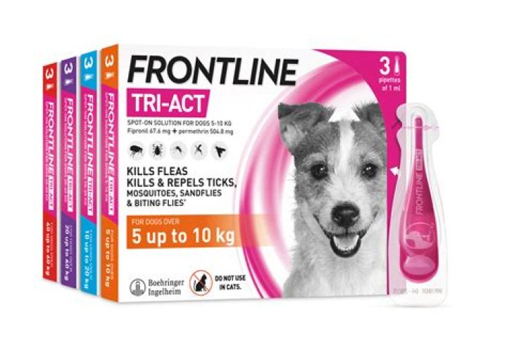 Does Frontline Plus actually work