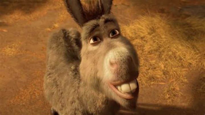 Does Shrek Donkey have a name