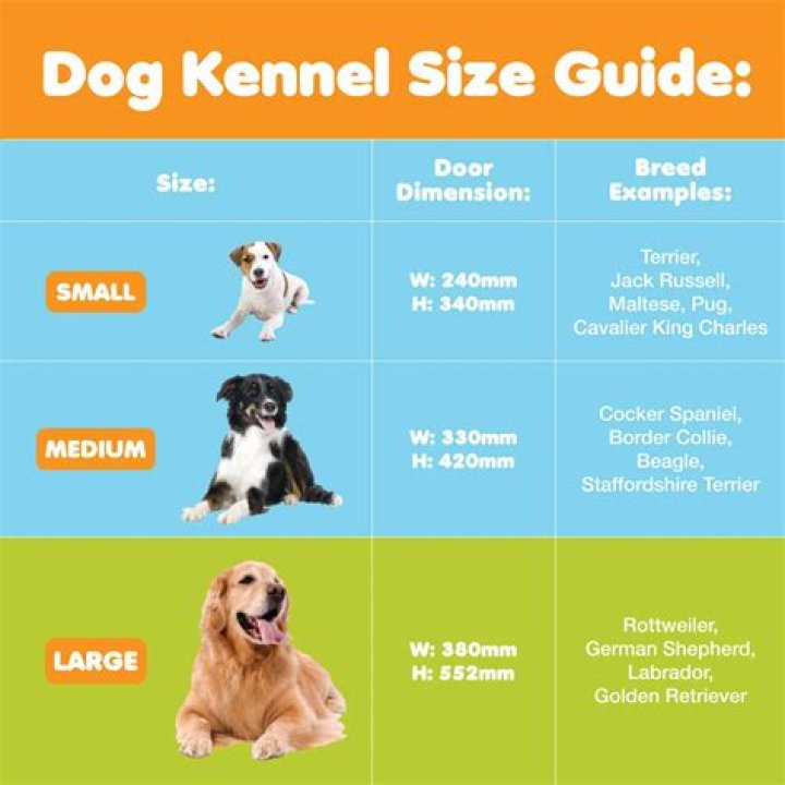 How big should a kennel be for a dog
