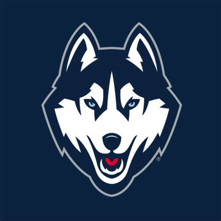 How do I find my UConn Net ID
