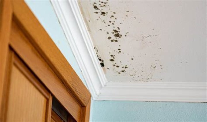 How do I stop Mould in my bedroom