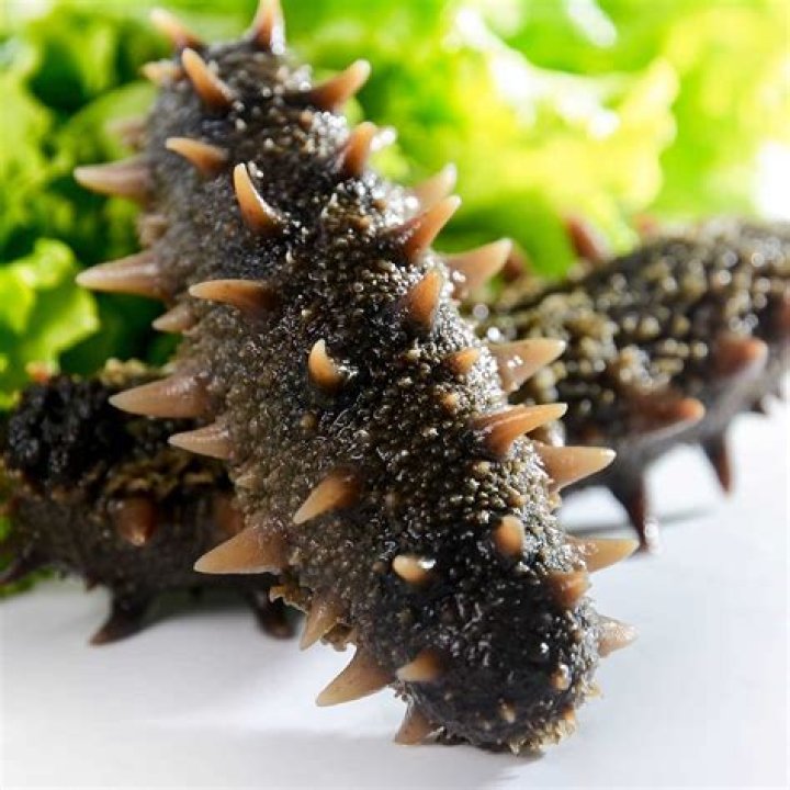 How do you cook sea cucumbers