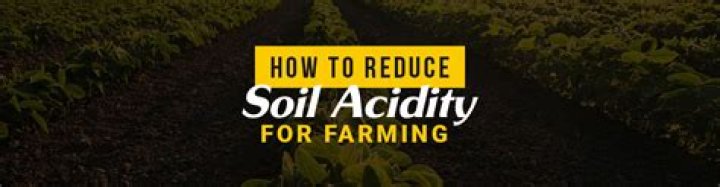 How do you reduce acidity in soil