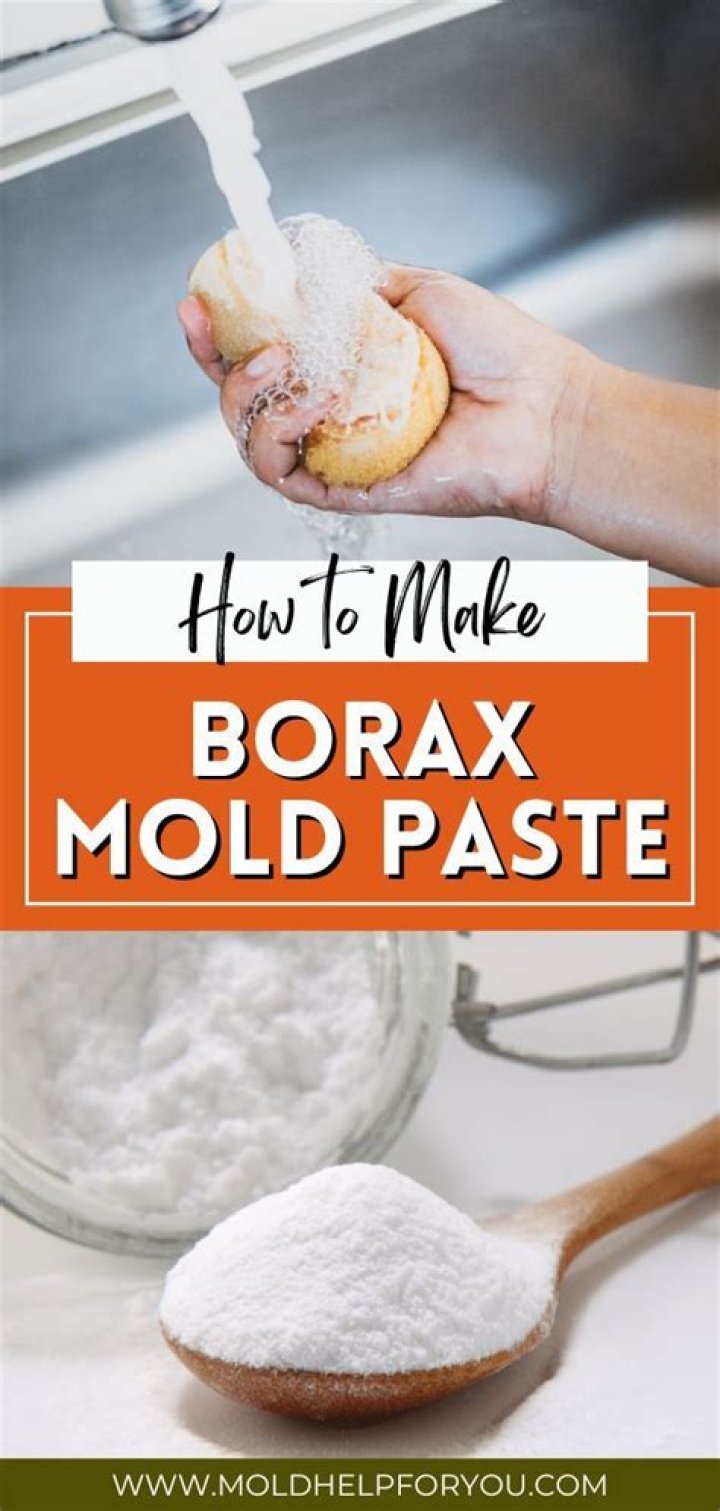 How do you use borax to kill mold