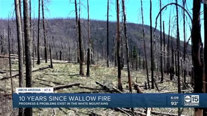 How long did the Wallow Fire last
