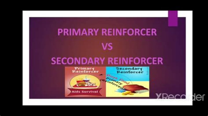 Is affection a primary reinforcer