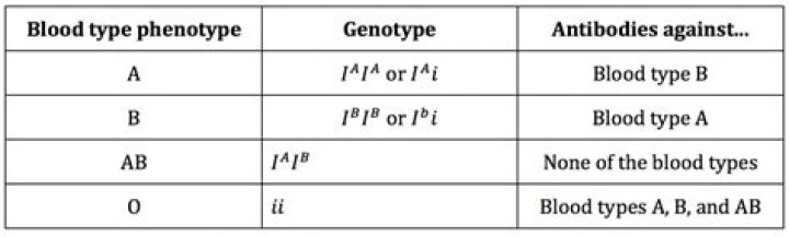 Is CC a phenotype or genotype