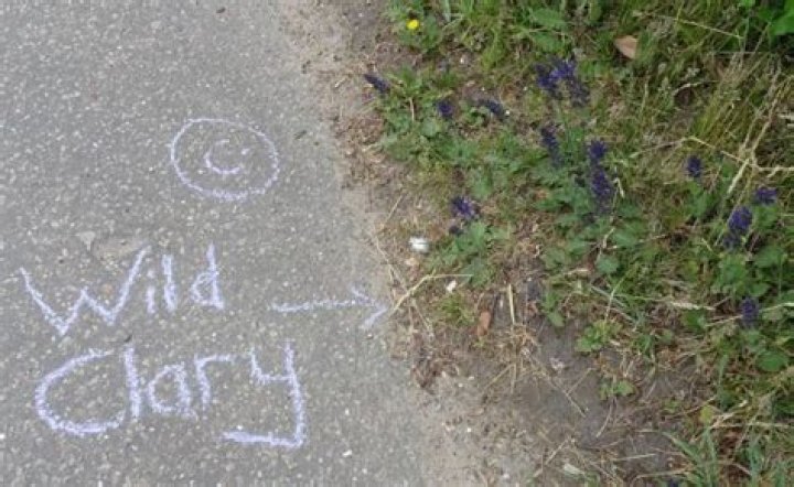 Is chalking on a pavement illegal