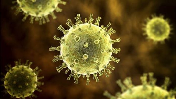 Is chickenpox a virus or bacteria