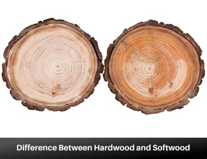 Is OSB a hardwood or softwood