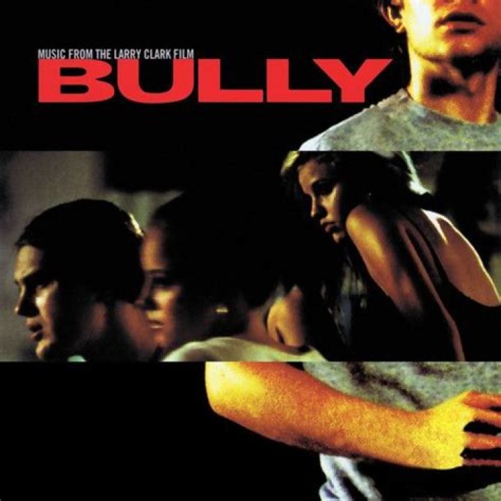 Is the film Bully a true story
