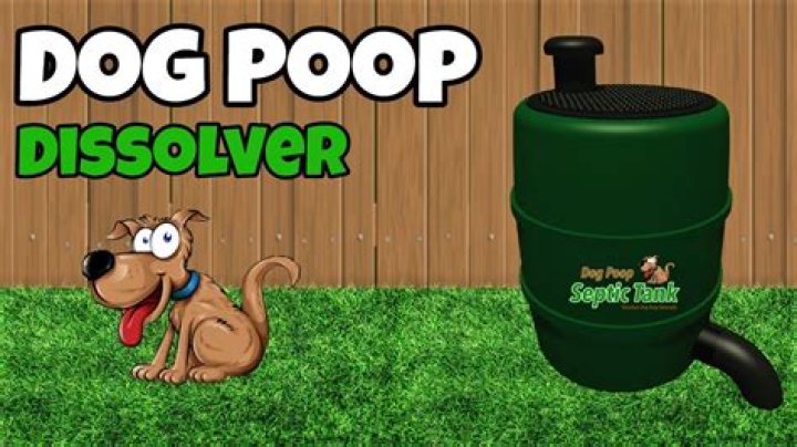 Is there a dog poop dissolver