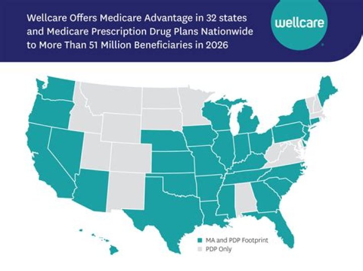 Is WellCare a government plan