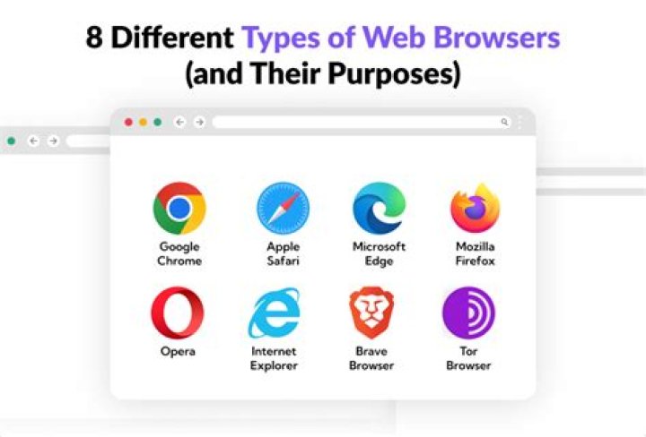 What are 4 common Web browsers