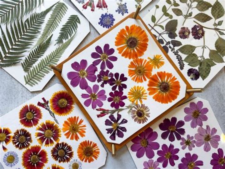 What are good pressing flowers