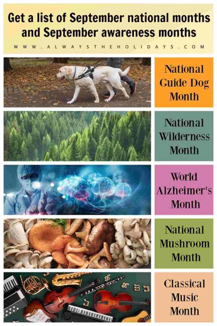 What are some national months