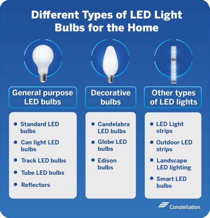What are the 8 types of light