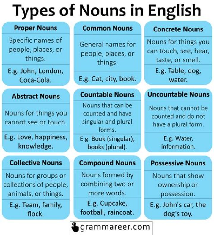 What are the 8 types of nouns