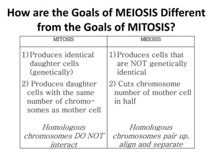 What are the goals of meiosis