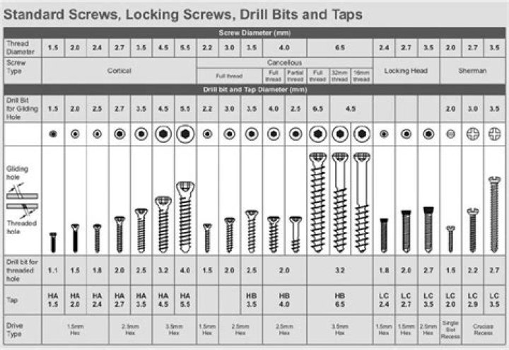 What are the sizes for screws