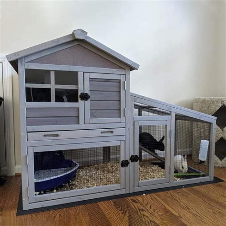What Cage is best for a rabbit