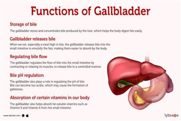 What cells are in the gallbladder