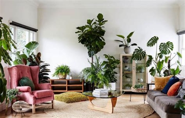 What do plants add to a space