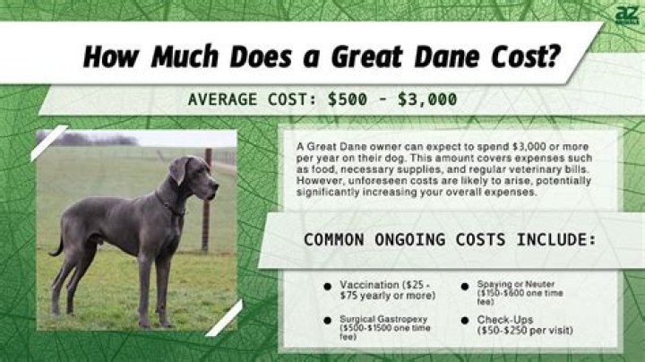 What does a Great Dane puppy cost