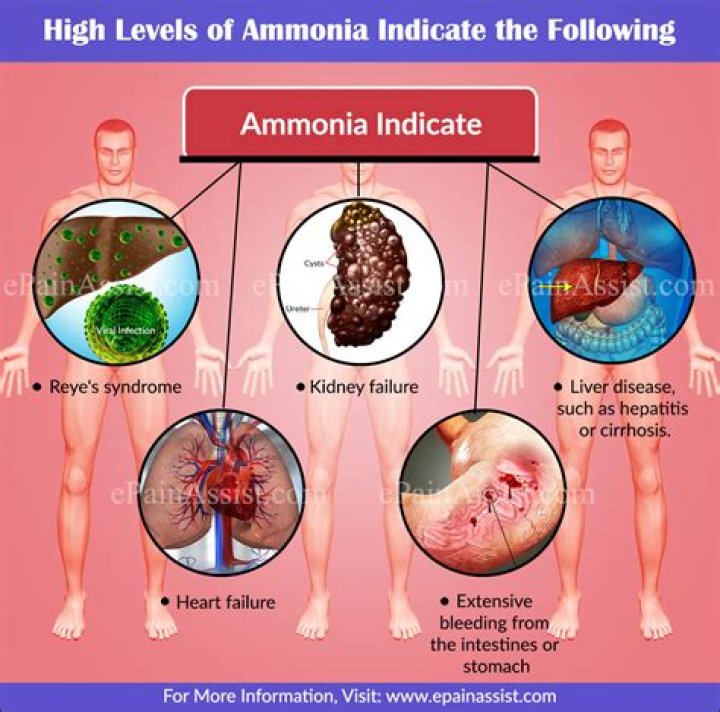 What does ammonia do when sniffed
