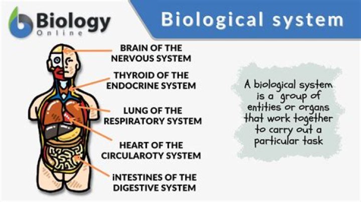 What does bio in biology mean