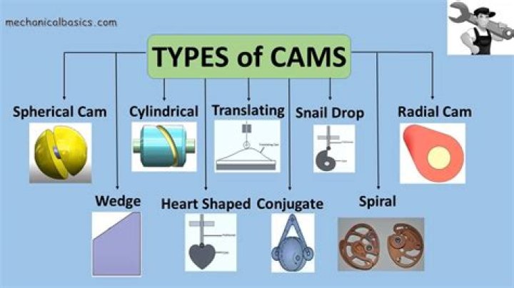 What does Cam usually include