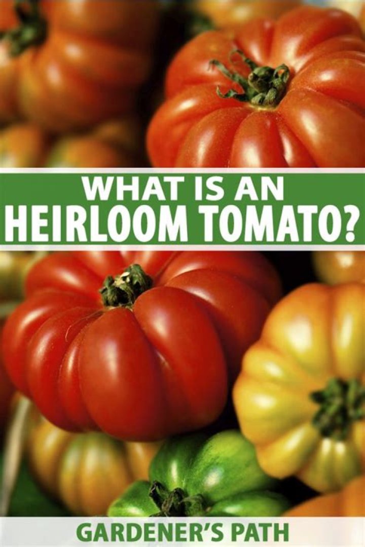 What does heirloom tomato mean