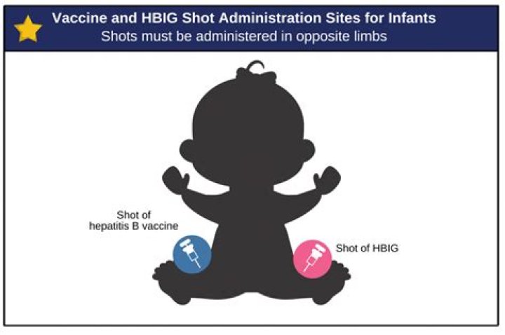 What does Hib protect against