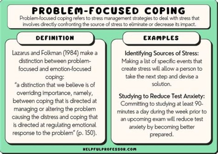 What does problem focused mean