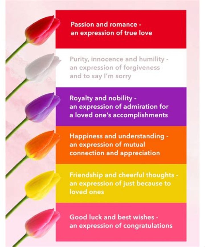 What does the L in TULIP mean