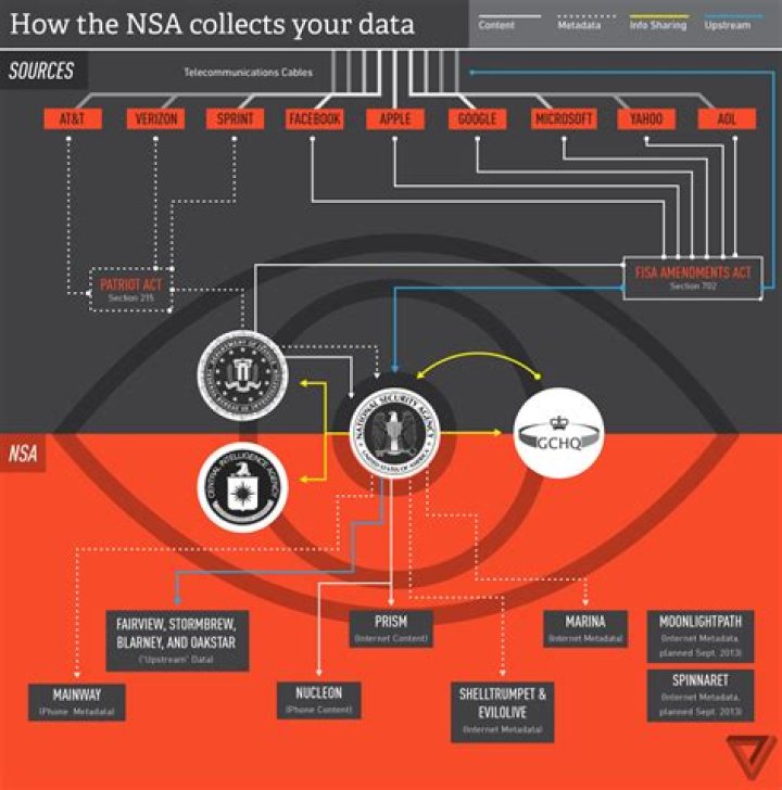 What does the NSA do with data