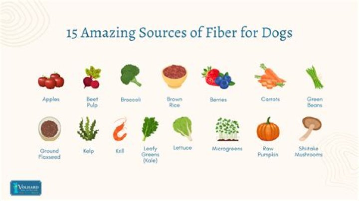 What dog food is high in fiber