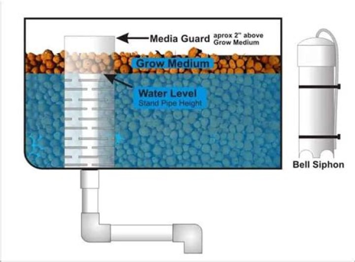 What is a bell siphon used for