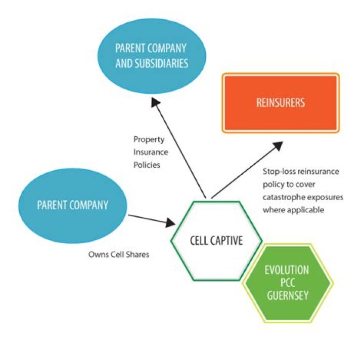 What is a cell captive insurer