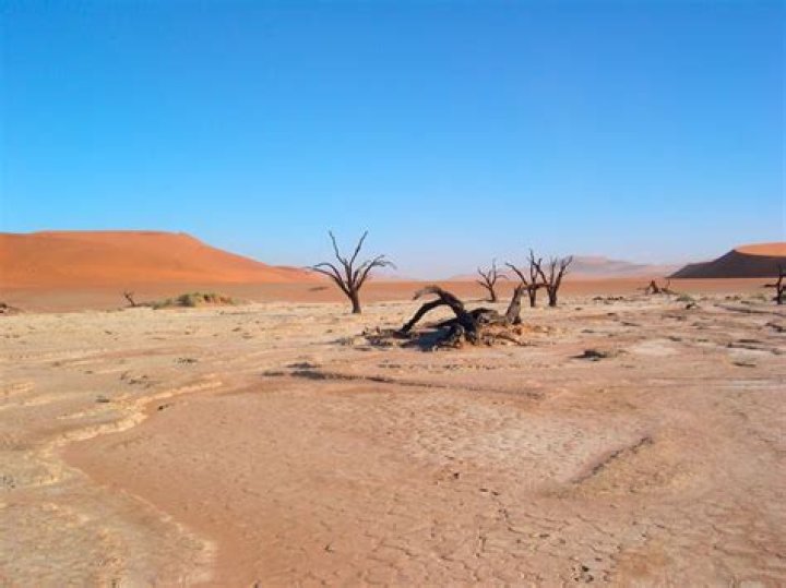 What is a desert landscape called